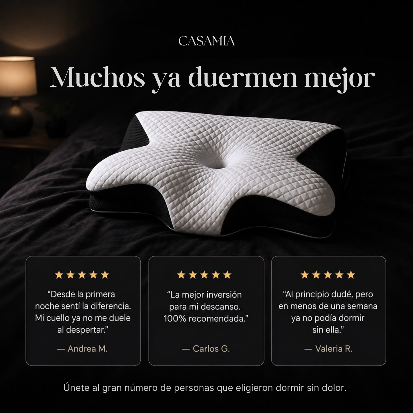 Almohada Ergonómica